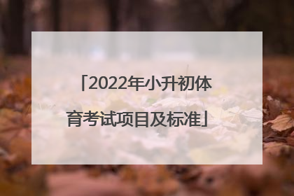 「2022年小升初体育考试项目及标准」2022年郑州小升初体育考试