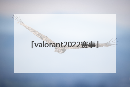 「valorant2022赛事」valorant2022冠军套
