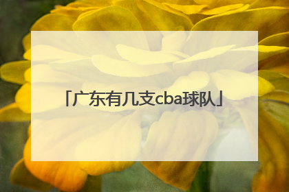 「广东有几支cba球队」广东有多少支CBA