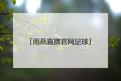 「雨燕直播官网足球」雨燕足球直播免费视频直播粤语